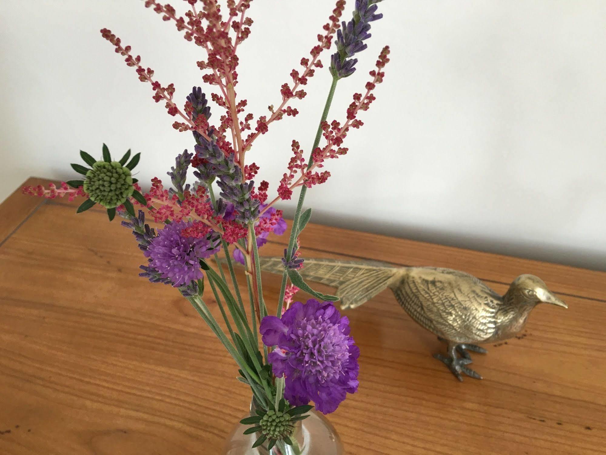 Firhall Highland B&B Grantown-on-Spey 外观 照片